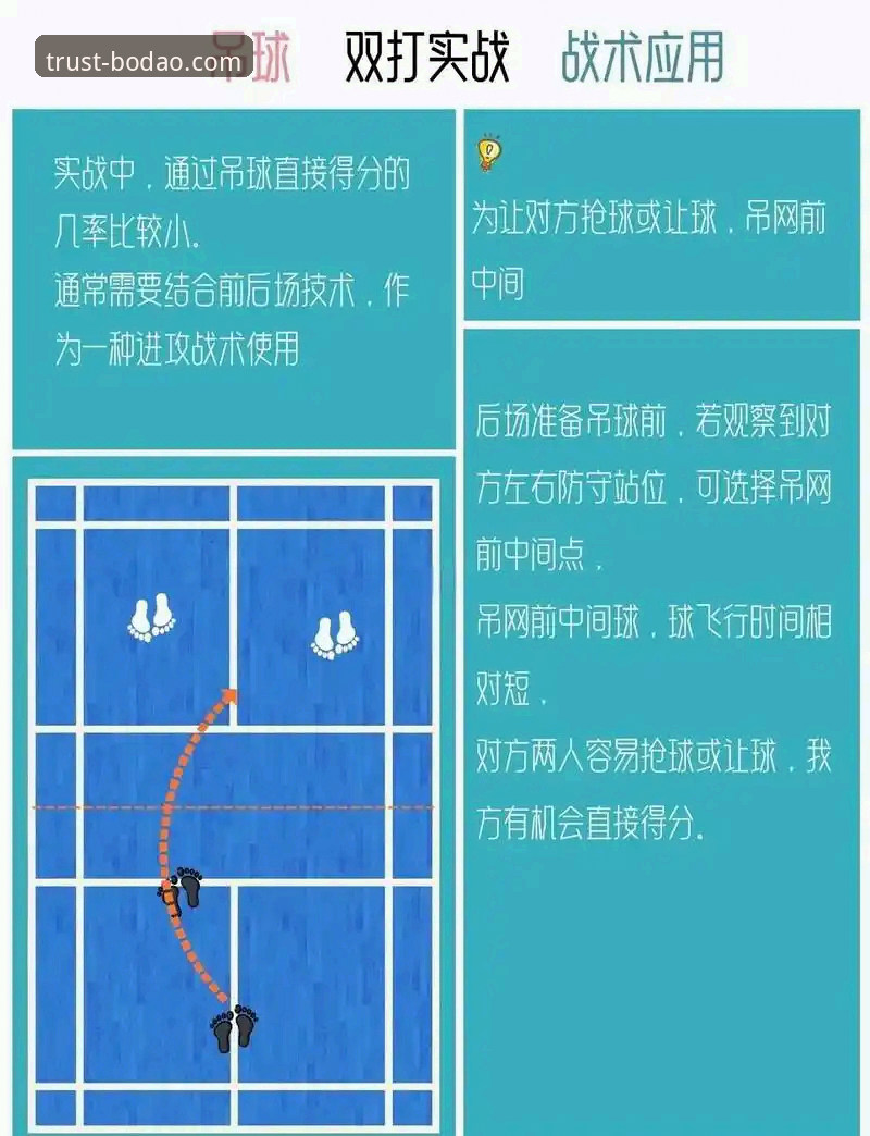 半岛体育BODAO使用技巧完整指南：从新手到高手的实战经验分享